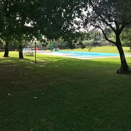 Oliveto San Felice del Benaco