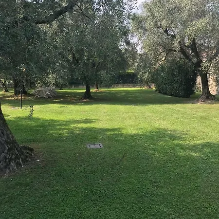 Oliveto Apartment San Felice del Benaco